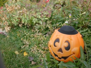 halloween solar light