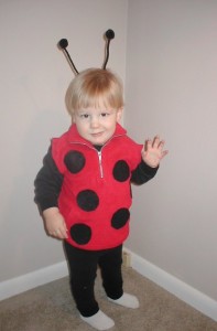 Homemade Costume Idea Ladybug Mommysavers