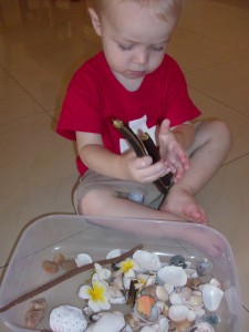 Summer Nature Treasure Box Activity