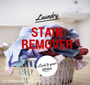 laundry stain remover