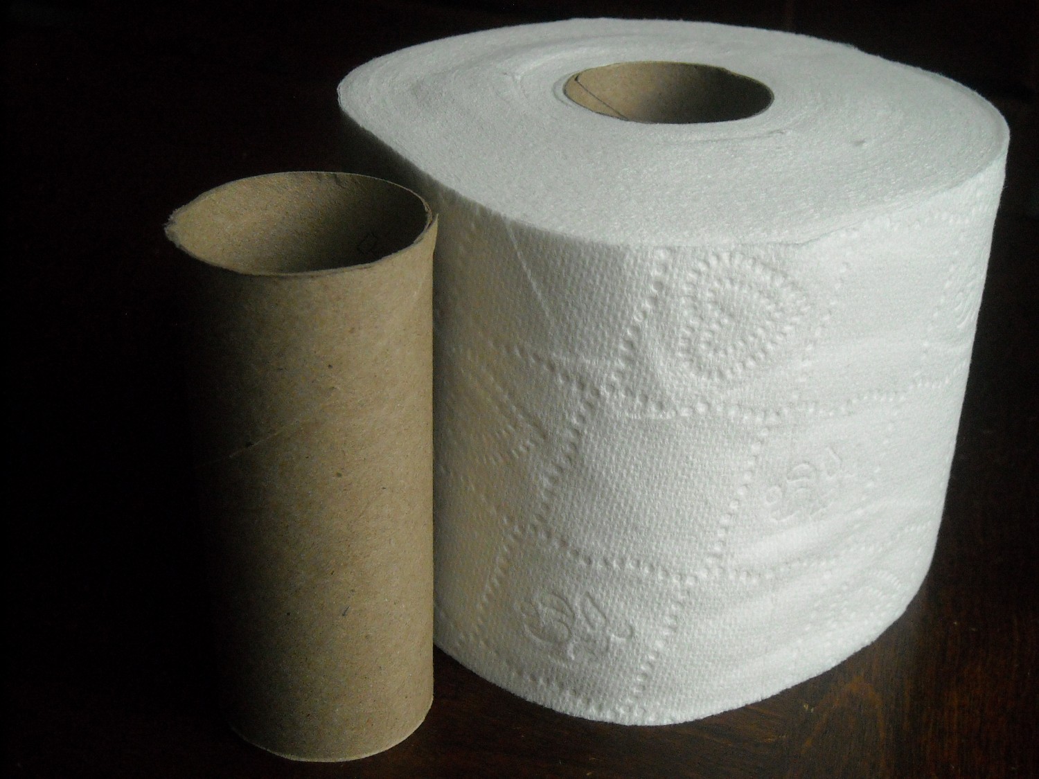 18-resourceful-ways-to-reuse-toilet-paper-rolls